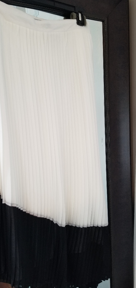 Long pleated skirt
